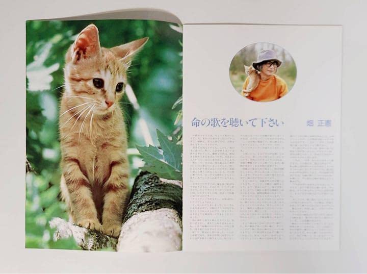 Amazon.co.jp: 1986年映画子猫物語パンフレット坂本龍一ムツゴロウ畑